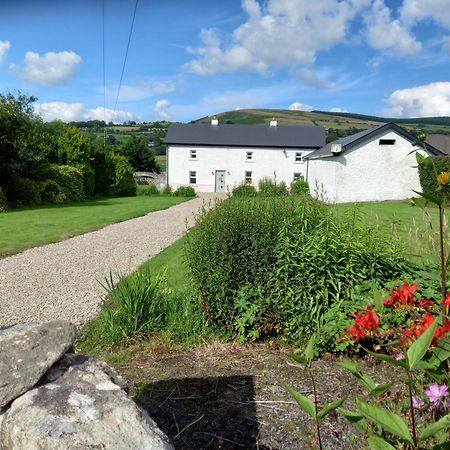 The Farmhouse Villa Kiltegan Exterior photo