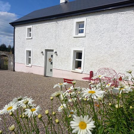 The Farmhouse Villa Kiltegan Exterior photo