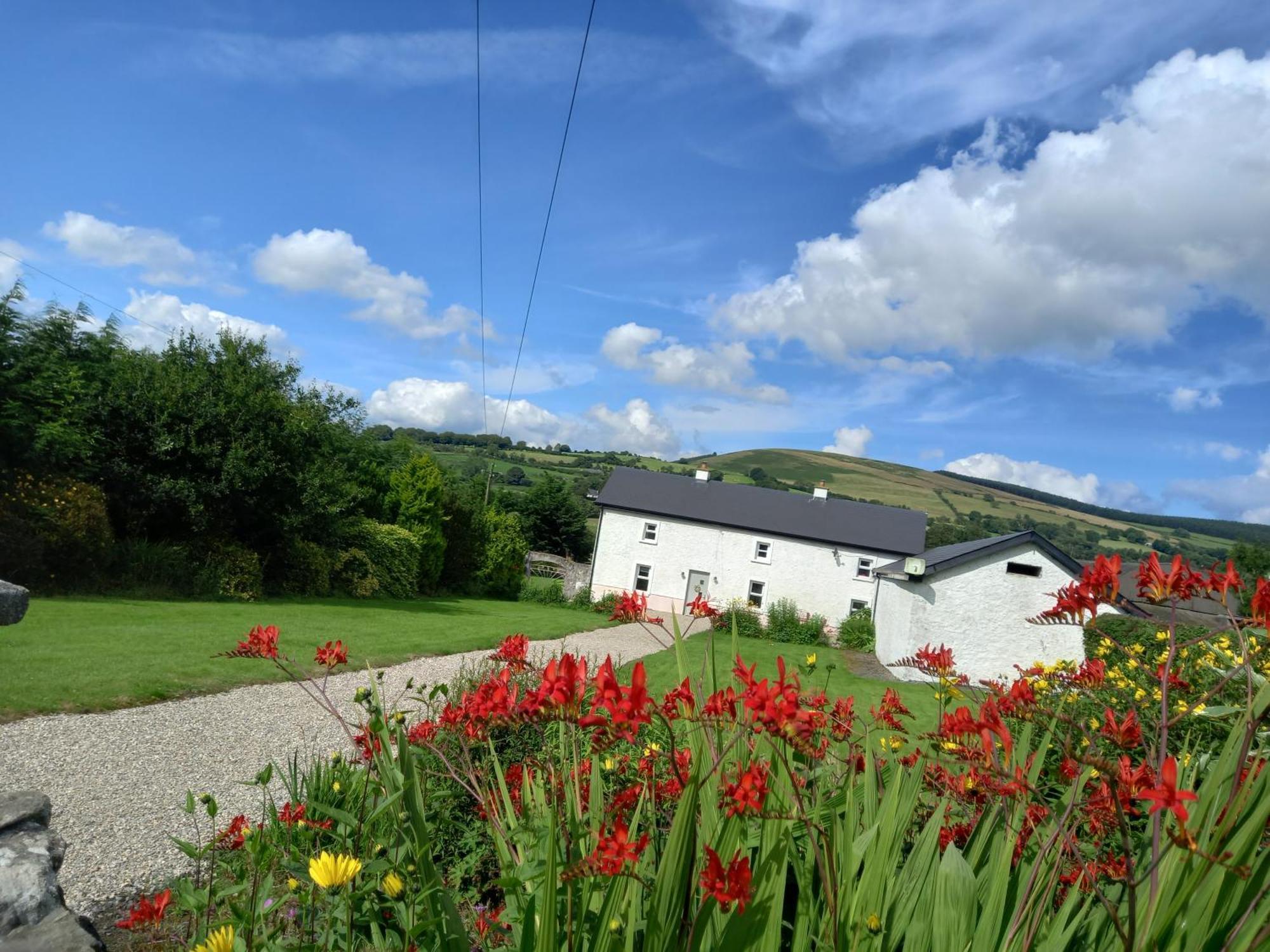 The Farmhouse Villa Kiltegan Exterior photo